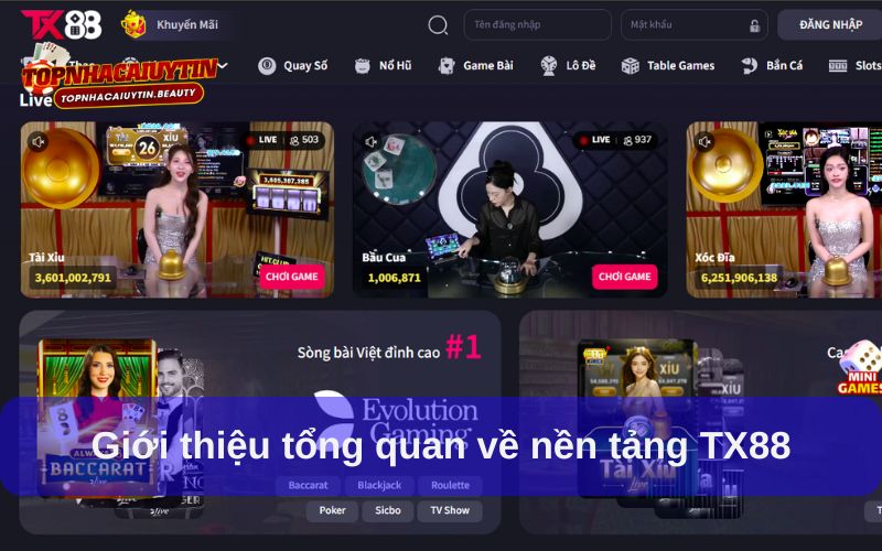 TX88 là một trong top 10 nhà cái uy tín 2025