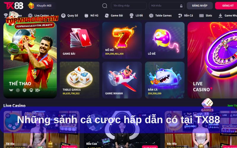 TX88 cung cấp thế giới giải trí đa dạng