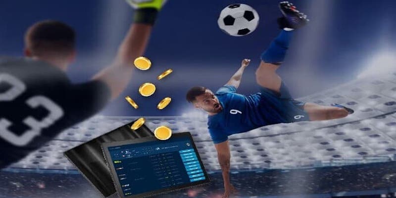 Tỷ lệ thưởng cao, cược đa dạng tại CMD Thể Thao