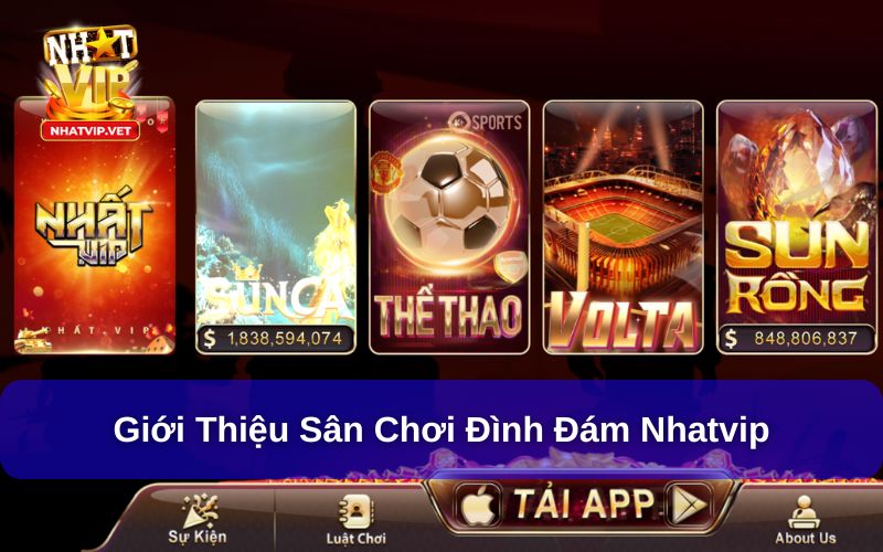 Câu hỏi thường gặp về Nhatvip